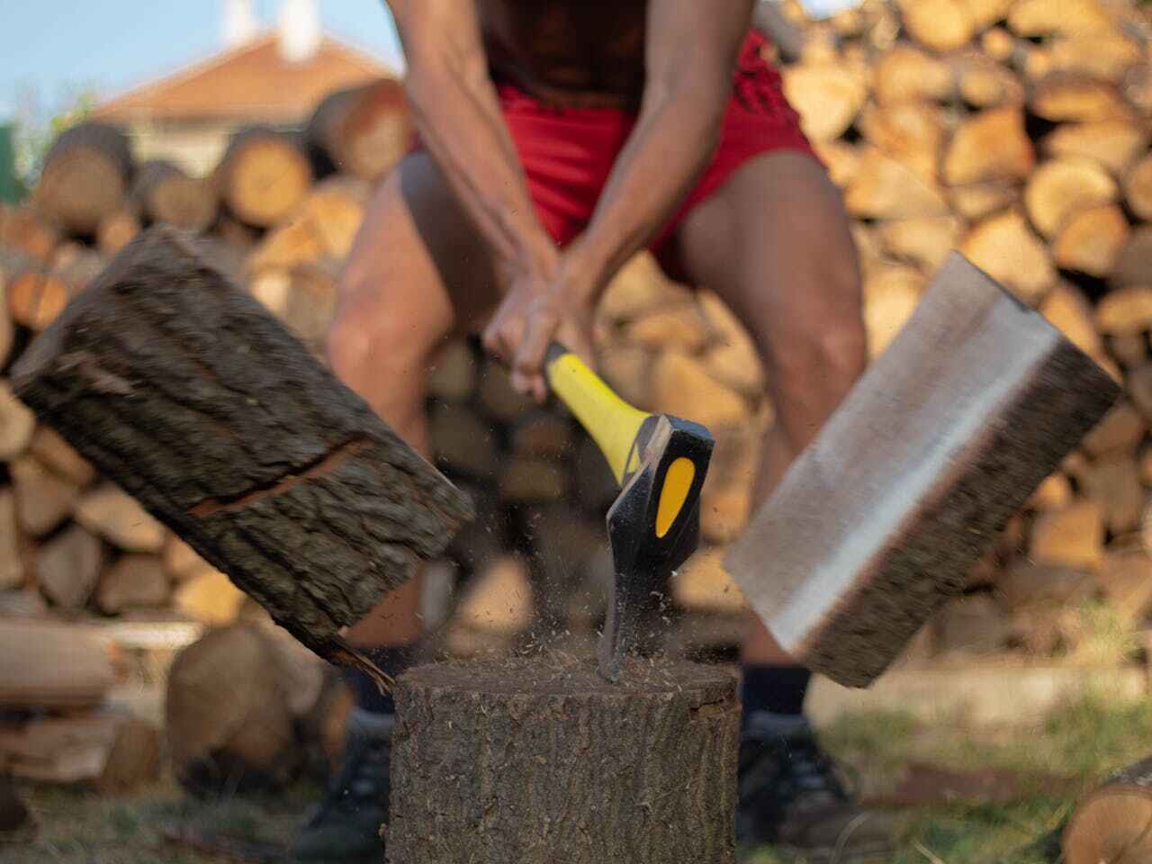 The Steps Involved in Our Tree Care Process in Upper Lake, CA